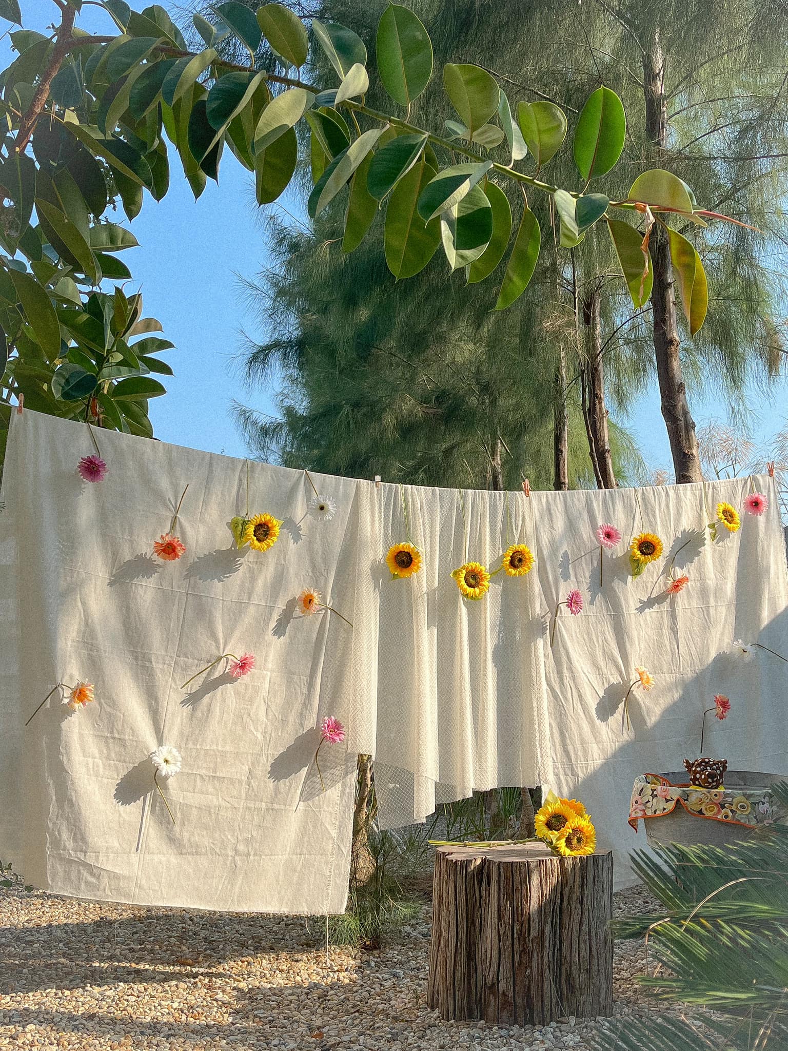 Midland Fami, Chorntawan café - ชอนตะวัน คาเฟ่, 5050cafebar, Baanbaicafe บ้านใบคาเฟ่, Lemon Me Farm, Autumn haus, STARTCafé, April Flavors cafe, Destiny cafe'