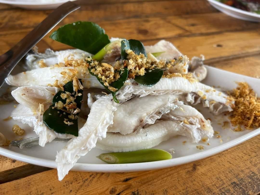 บ้านโพธิ์ริเวอร์ไซด์, ร้านอาหารมธุรสเรือนแพ, Baan Melon Desert, ร้านบ้านเบญฯ, บ้านปูกรรเชียง, ร้านกุ้งนาง, ร้านชวนมา ริมแม่น้ำบางปะกง, ครัวแม่ส้มเกลี้ยง, ครัวปลาเถื่อน, แพเคียงน้ำ, ลุงตีฟและยาย, รวยเรือนแพ, เอกเขนก, ชัยครับ, แพพยงค์ ริมน้ำ, 111/11 บ้านริมคลอง, มีน้ำ มีปลา cafe&amp;restaurant