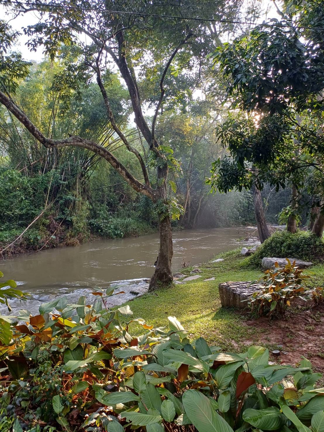 Bok Bok Society, 88Coffee in khaoyai, The Creek @Khao Yai, TARA CAFE' Khaoyai, Pirom Cafe