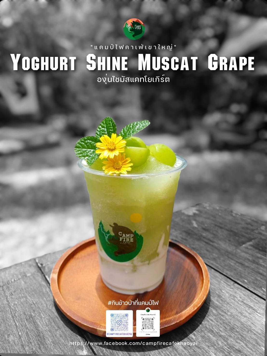 Bok Bok Society, 88Coffee in khaoyai, The Creek @Khao Yai, TARA CAFE' Khaoyai, Pirom Cafe