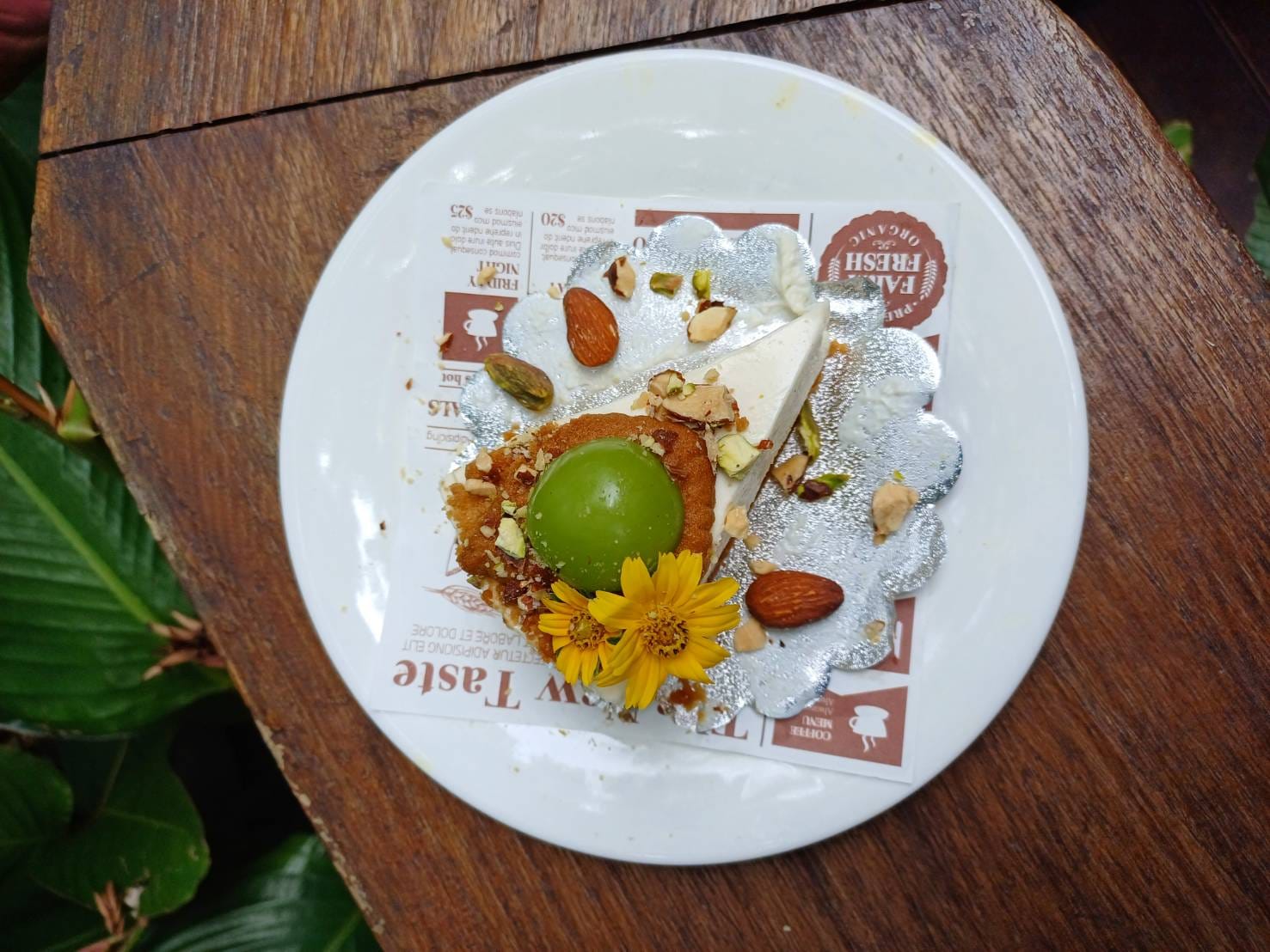 Bok Bok Society, 88Coffee in khaoyai, The Creek @Khao Yai, TARA CAFE' Khaoyai, Pirom Cafe