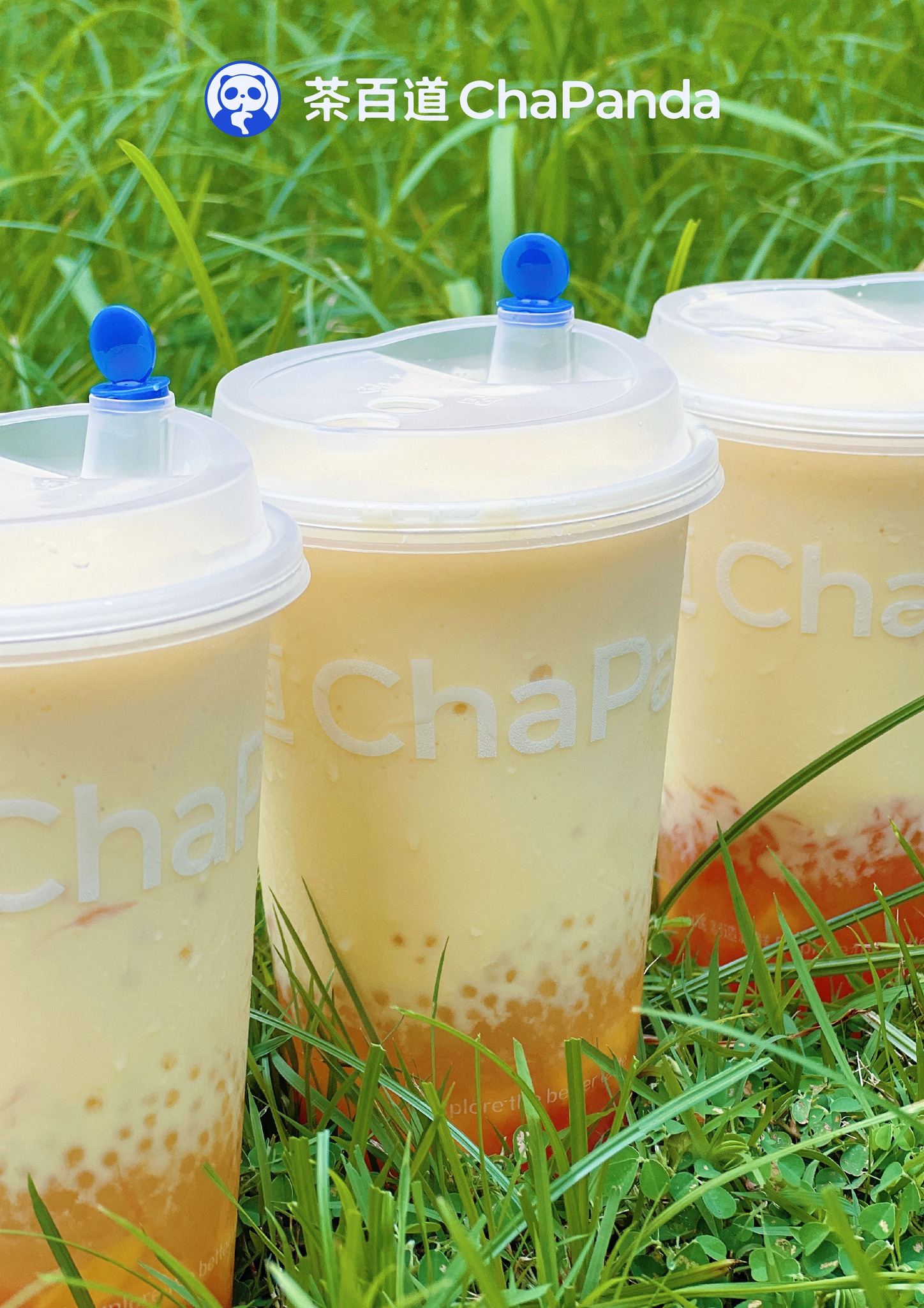 Nose Tea Thailand, JIAN CHA Tea 见茶山 เจี้ยนชา , Olino Crepe &amp; Tea, Dakasi Thailand, 96 Chá, ME TEA สาขาอโศก, Pear Bubbletea, Refresh Fruit Tea, Naixue Tea Thailand, CHAPANDA Thailand, CHA i ENJOY Thailand