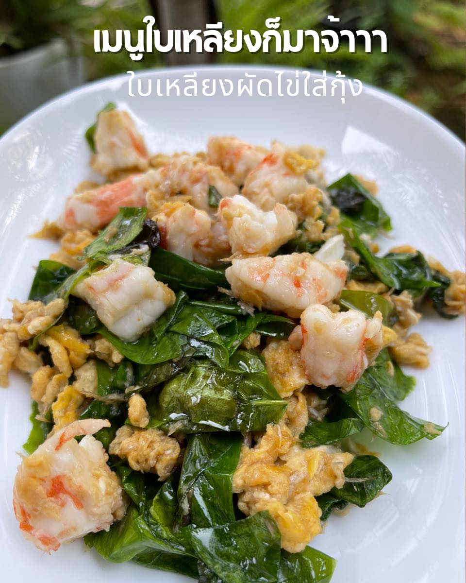 ครัวเจ๊นงค์ซีฟู๊ด, แม่ลูกจันทน์, สาขาบางตะบูน, โคตรหมู, ครัวริมเล ปูเป็น, Luckyseafood 2, ครัวไข่มุกปูเป็น, เจ๊เหมียวทะเลสด, เปลญวน เพชรบุรี, ครัวเพชรน้ำฟ้า, วิวทะเลซีฟู้ดชะอำ, ป้าหยัน, พวงเพชร, ครัวห้วยทราย, กิ่งกาญจน์, รีแล็กซ์ เพชรบุรี, เรือแลเล บางตะบูน, สวนอาหาร "ล้านอร่อย", บางตะบูนเบย์, ครัวปรียานนท์ หาดเจ้าสำราญ, สังเวียนซีฟู้ด Sungwean seafood