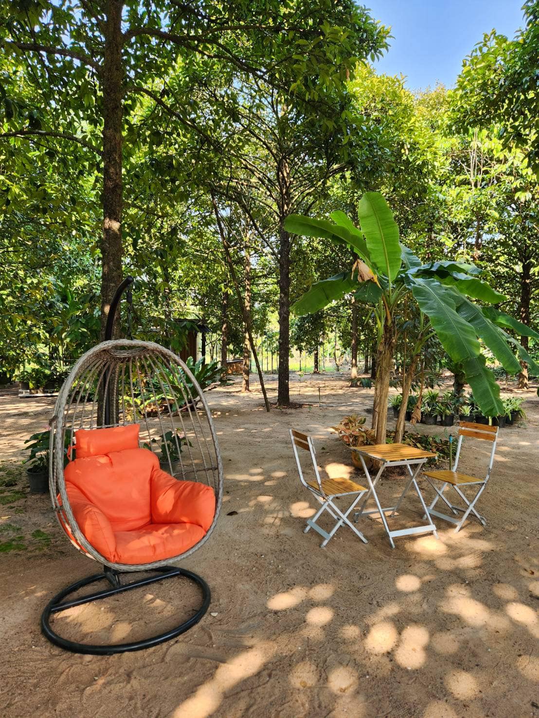 YOO CHAN CAFE, เล เกลือ คาเฟ่, Momentum Cafe, Sugar Dish Homemade Cake, แดดส่องคาเฟ่, Chan Cafe', URSular Cafe, ปูจ๋าคาเฟ่ จันทบุรี, บางเวลา กาแฟและแกลเลอรี่