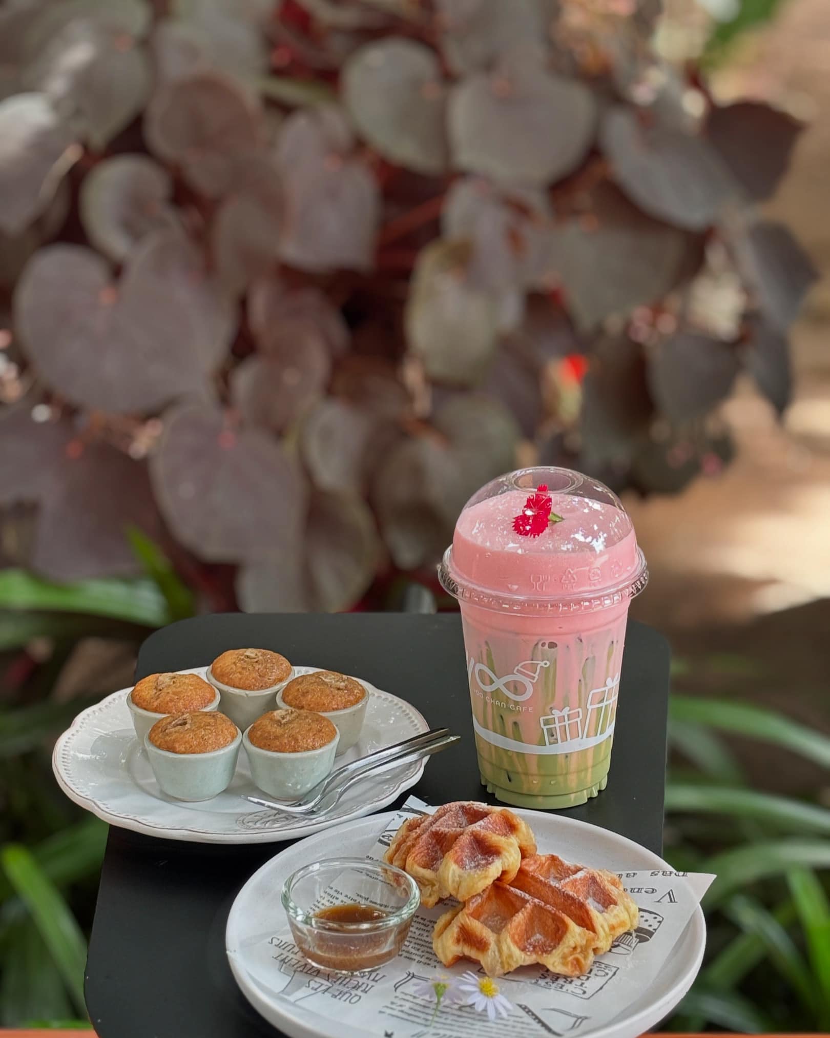 YOO CHAN CAFE, เล เกลือ คาเฟ่, Momentum Cafe, Sugar Dish Homemade Cake, แดดส่องคาเฟ่, Chan Cafe', URSular Cafe, ปูจ๋าคาเฟ่ จันทบุรี, บางเวลา กาแฟและแกลเลอรี่