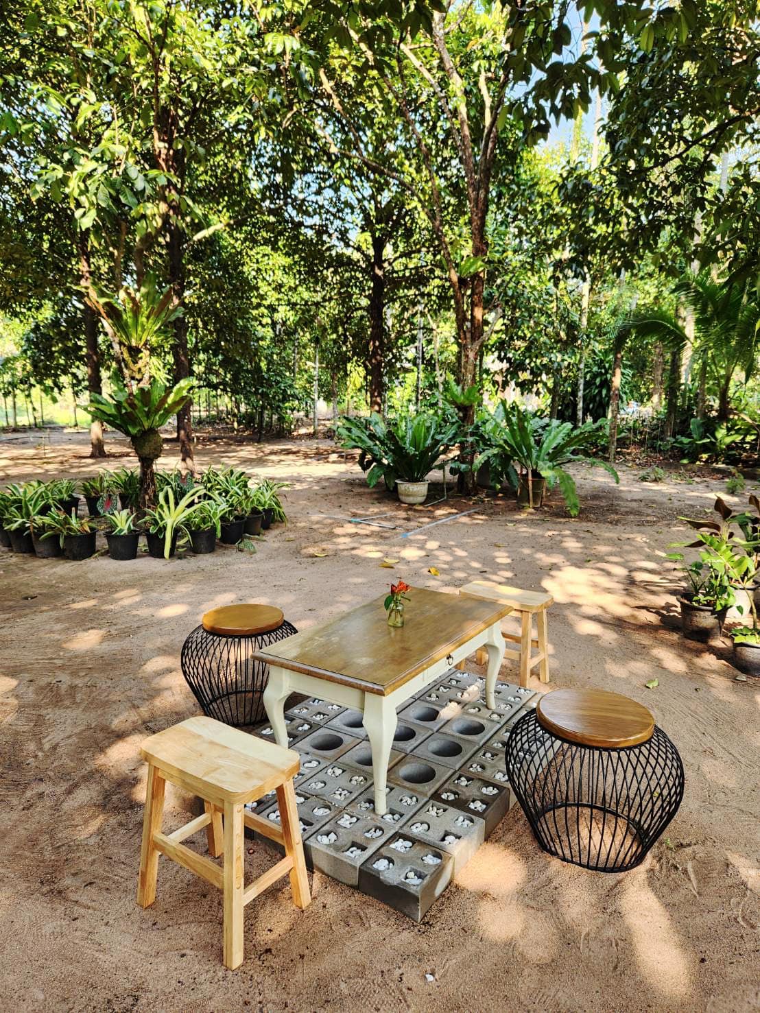 YOO CHAN CAFE, เล เกลือ คาเฟ่, Momentum Cafe, Sugar Dish Homemade Cake, แดดส่องคาเฟ่, Chan Cafe', URSular Cafe, ปูจ๋าคาเฟ่ จันทบุรี, บางเวลา กาแฟและแกลเลอรี่