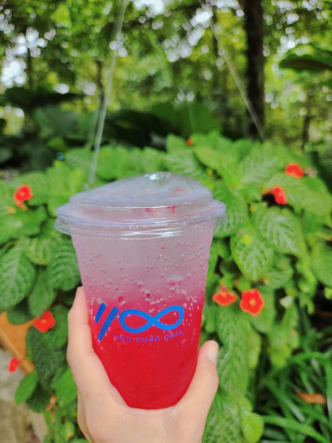 YOO CHAN CAFE, เล เกลือ คาเฟ่, Momentum Cafe, Sugar Dish Homemade Cake, แดดส่องคาเฟ่, Chan Cafe', URSular Cafe, ปูจ๋าคาเฟ่ จันทบุรี, บางเวลา กาแฟและแกลเลอรี่