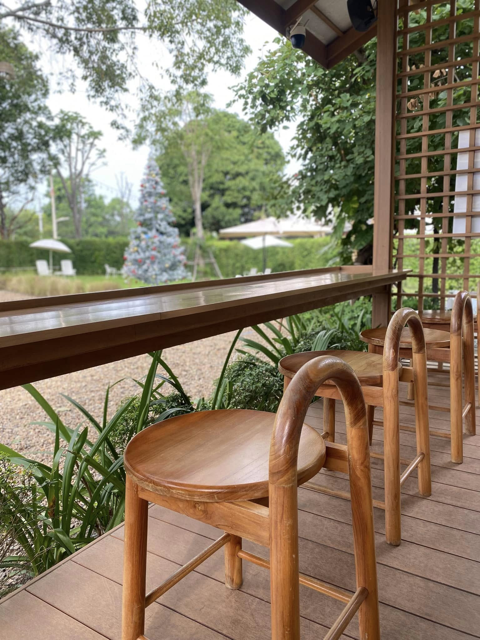 Air Space Hua Hin, ปลีกวิเวก คาเฟ่, After morning cafe, The Chocolate Factory HuaHin, DRIP RIM LAY, Top Seacret Beach Cafe, Molley coffee stand, RowHou8e Cafe' HuaHin106, 25 Monday cafe', S'more Cafe Huahin, Tree House Cafe', Wilaiwan Hua Hin