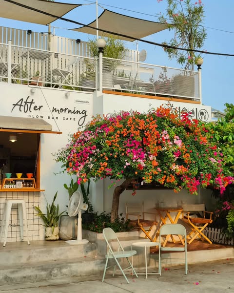 Air Space Hua Hin, ปลีกวิเวก คาเฟ่, After morning cafe, The Chocolate Factory HuaHin, DRIP RIM LAY, Top Seacret Beach Cafe, Molley coffee stand, RowHou8e Cafe' HuaHin106, 25 Monday cafe', S'more Cafe Huahin, Tree House Cafe', Wilaiwan Hua Hin