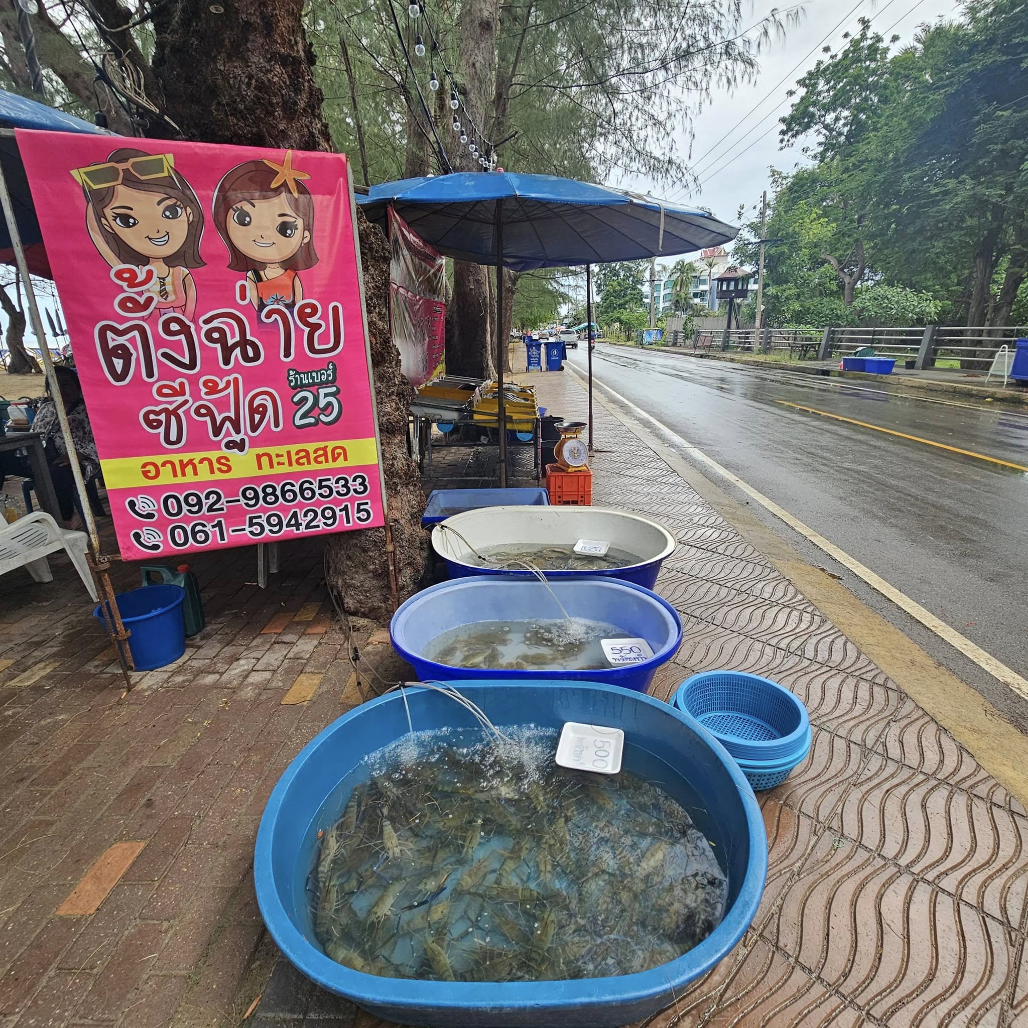 ครัวลุงมันซีฟู้ด, ตั้งฉ่ายซีฟู้ด, บ้านไร่น้ำอิง, พรทะเลซีฟู้ด, ศิริกัญญาซีฟู๊ด, ผึ้งทะเลเผา เบอร์ 9, ครัวป้ายืนซีฟู้ด, นู๋ยาซีฟู้ดชะอำ, ครัวเม็ดทราย, บ้านครัวทะเล, ครัวห้วยทราย, Platoo Restaurant, ครัวป้าเฉลียว, ร้านครัวพี่เปี๊ยก บางควาย