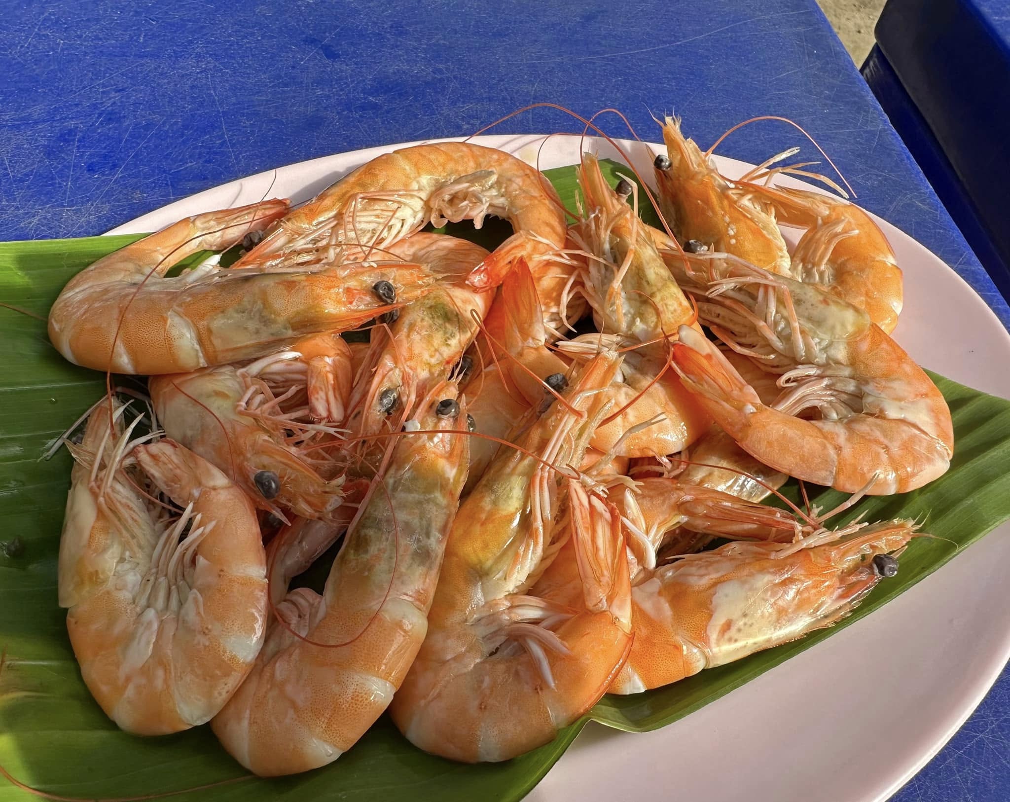 ครัวลุงมันซีฟู้ด, ตั้งฉ่ายซีฟู้ด, บ้านไร่น้ำอิง, พรทะเลซีฟู้ด, ศิริกัญญาซีฟู๊ด, ผึ้งทะเลเผา เบอร์ 9, ครัวป้ายืนซีฟู้ด, นู๋ยาซีฟู้ดชะอำ, ครัวเม็ดทราย, บ้านครัวทะเล, ครัวห้วยทราย, Platoo Restaurant, ครัวป้าเฉลียว, ร้านครัวพี่เปี๊ยก บางควาย