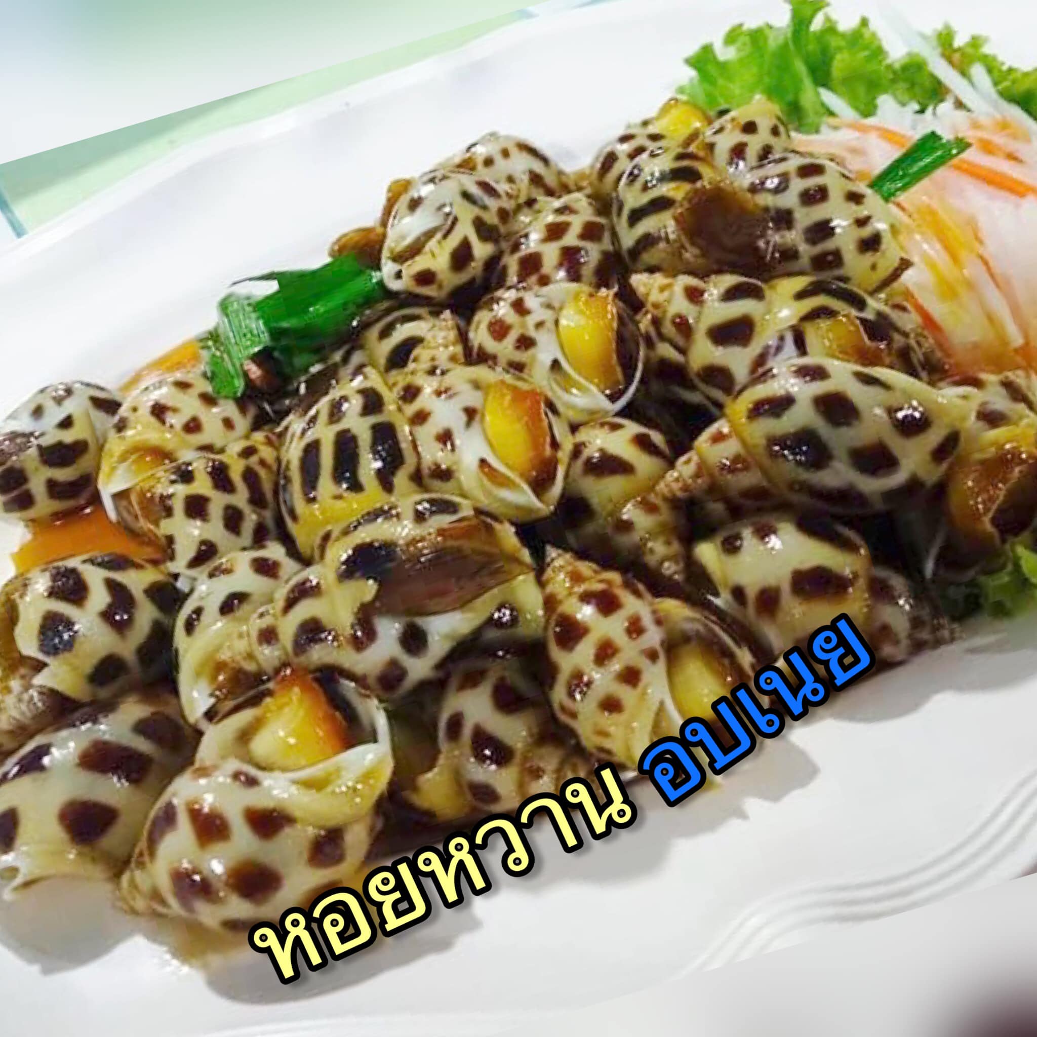 ครัวลุงมันซีฟู้ด, ตั้งฉ่ายซีฟู้ด, บ้านไร่น้ำอิง, พรทะเลซีฟู้ด, ศิริกัญญาซีฟู๊ด, ผึ้งทะเลเผา เบอร์ 9, ครัวป้ายืนซีฟู้ด, นู๋ยาซีฟู้ดชะอำ, ครัวเม็ดทราย, บ้านครัวทะเล, ครัวห้วยทราย, Platoo Restaurant, ครัวป้าเฉลียว, ร้านครัวพี่เปี๊ยก บางควาย