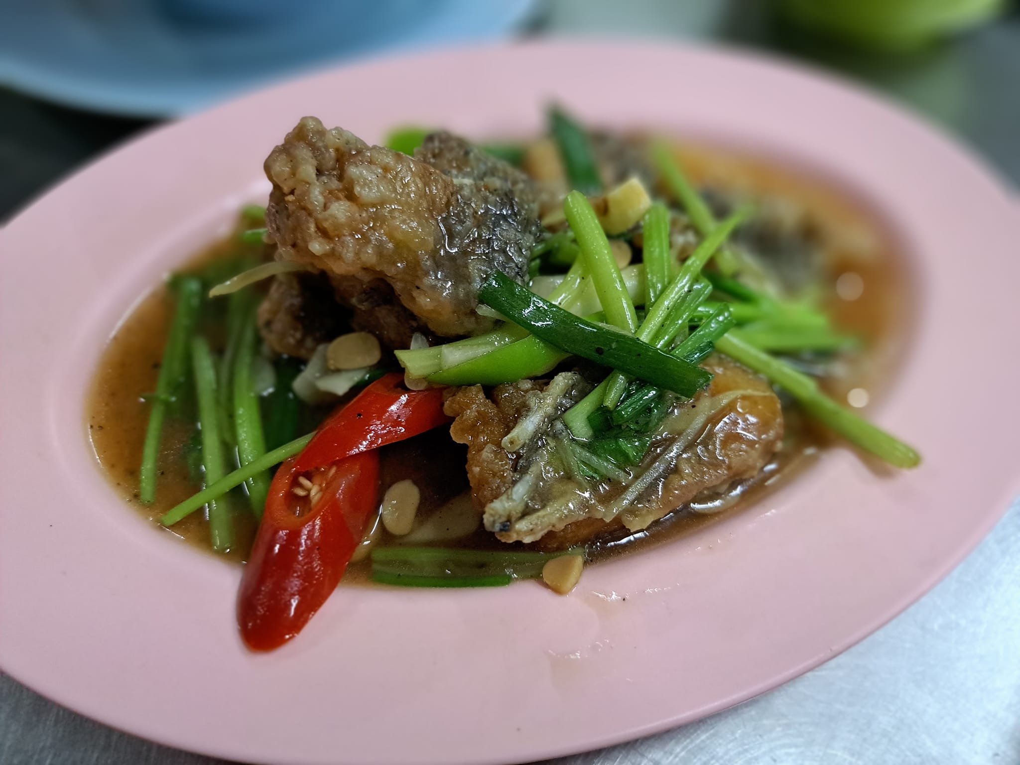 สะหวา, กลมกล่อม, ดอนญ่า, ต้นทาง, ครัวมะเรือง, ร้านข้าวต้ม 2500, เนินขุมทองการ์เด้นท์, นานหยวนบะหมี่เกี๊ยวกุ้ง, สาขากองบิน 56, ไก่ทอดเดชา, สาขาสนามบินหาดใหญ่, สบันงา, เหม่ยเหว่ย สาขาถนนสนามบิน, ร้านข้าวต้มมัดเนินขุมทอง คาเฟ่อาหารใต้