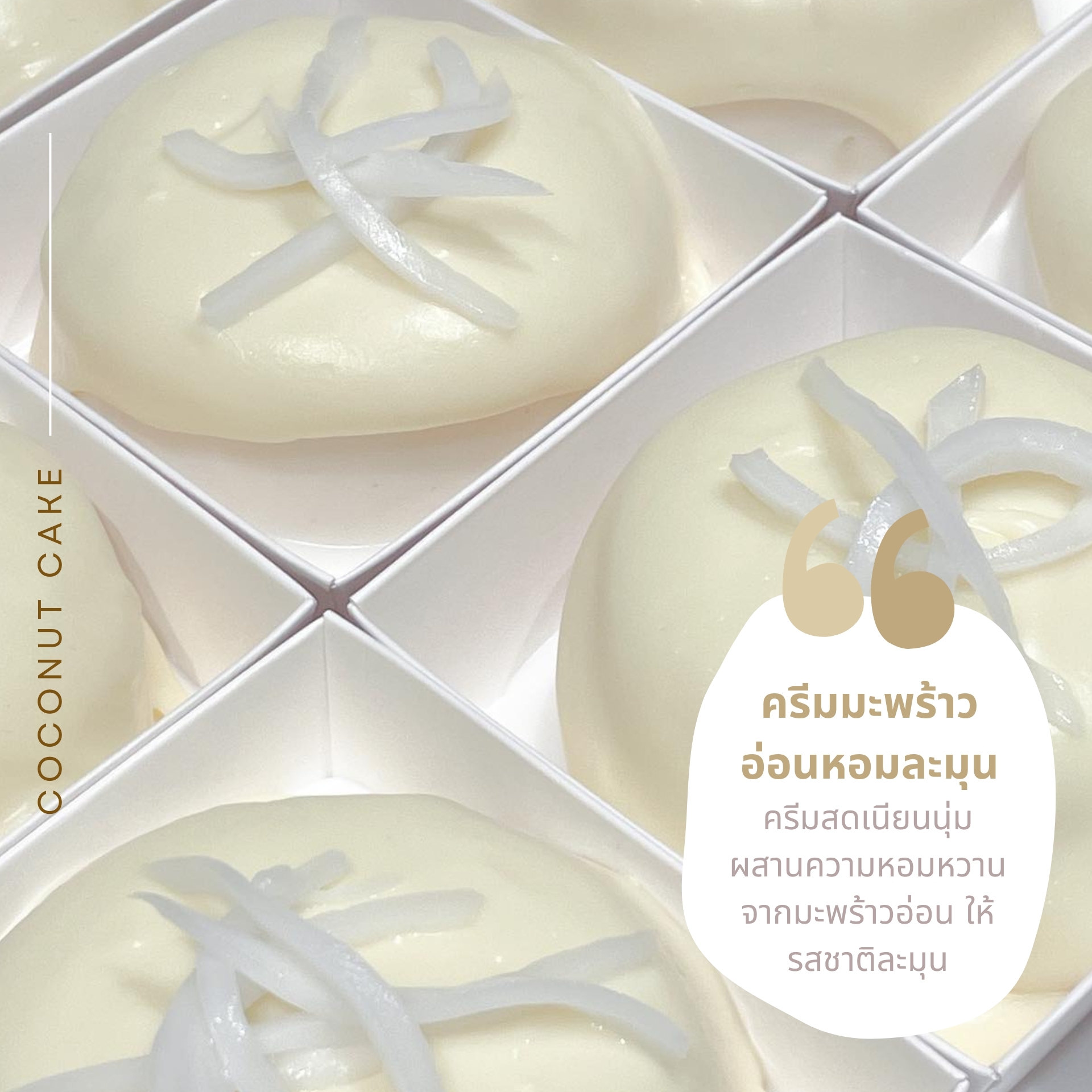 Morestto, KLĀY cafe, Hang &amp; Craft, Groon, CHEEVIT CHEEVA, GRAPH one nimman, เก้าคาเฟ่ นิมมาน