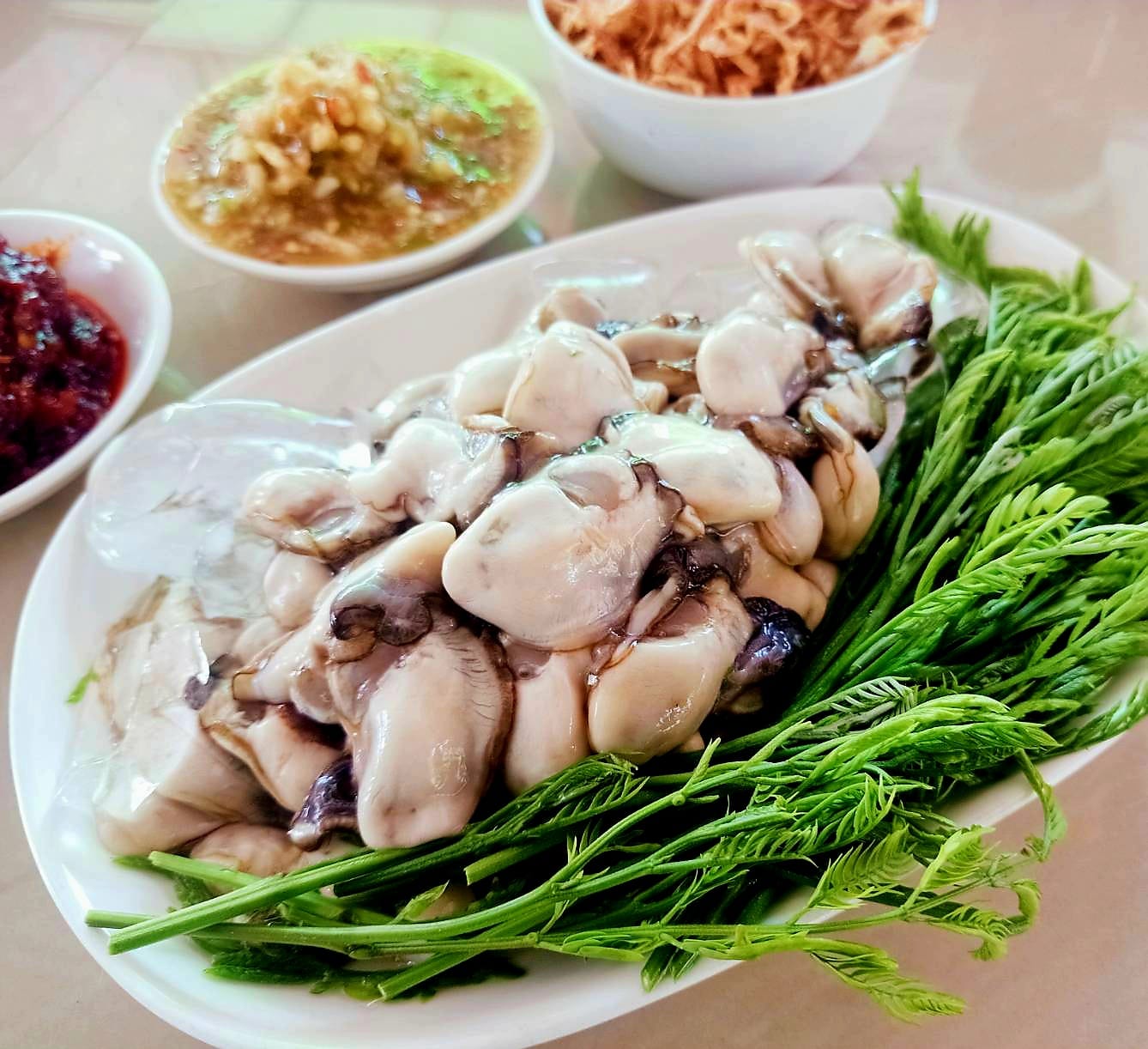 ปูเป็น SEAFOOD PATTAYA, ริมหาด ซีฟู๊ด, ลุงบอยป้ารัตน์, สาขาหาดจอมเทียน, Krua Dongtan ครัวดงตาล, ลุงไสว 1 สุดหาดจอมเทียน พัทยา, ศรีนวลซีฟู้ด, สุดเขต ทะเลเผา