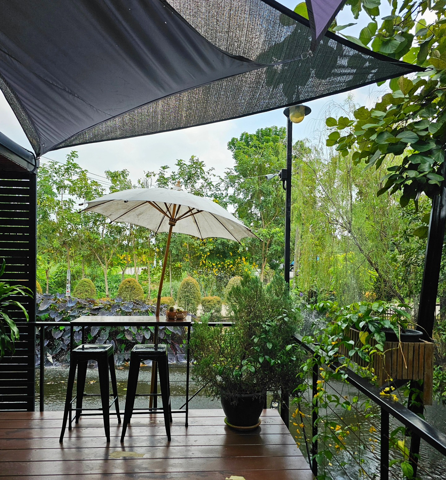 SOP Cafe, Three Mountain Café, ชื่นใจ๋, The Peace Coffee, โคโค่คอฟฟี่, Mali Cafe &amp; Cuisine, Tree Shade, Smallroom cafe passion, อาตี๋โกปี๊, Tara Coffee, In Cafe, Thanks, CORO FIELD, White Cacti