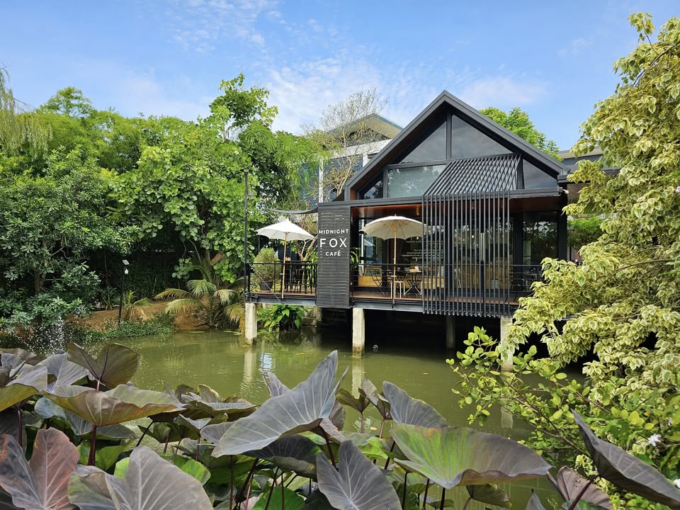 SOP Cafe, Three Mountain Café, ชื่นใจ๋, The Peace Coffee, โคโค่คอฟฟี่, Mali Cafe &amp; Cuisine, Tree Shade, Smallroom cafe passion, อาตี๋โกปี๊, Tara Coffee, In Cafe, Thanks, CORO FIELD, White Cacti