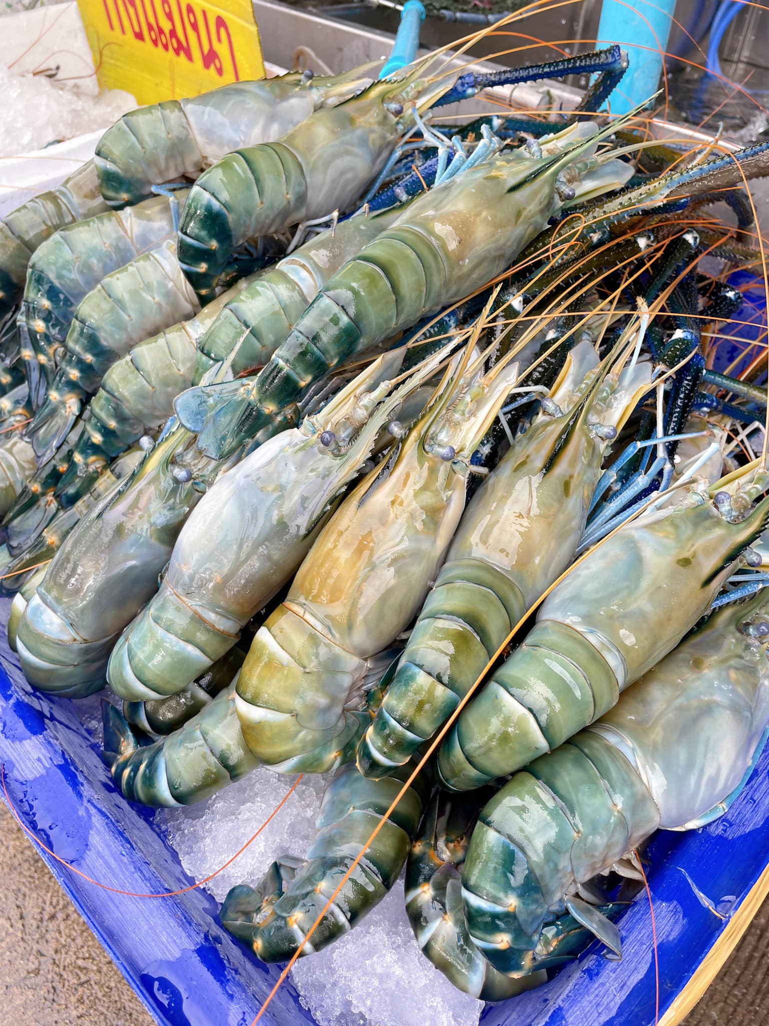 ชายน้ำ, ทรัพย์เจริญซีฟู๊ด-ดำ, กุ้งเผาราชคราม, บ้านอยุธยารมย์, บ้านไม้ริมน้ำ, แกรนด์เจ้าพระญา, บ้านอู่ทอง