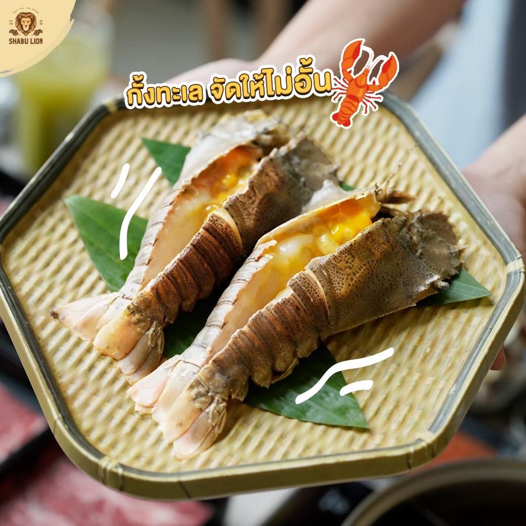 Shokunyakiniku, Mr.Gung Korean BBQ, Shabu Lion, Panda Shabu, SHABU KONG Thalang, อิ่มเอมหมูกะทะ, เฮงเฮงหมูกระทะบุฟเฟ่ต์ภูเก็ต, ฉลองบุฟเฟ่ต์ Chalong Buffet, กินรึยัง ชาบูบุฟเฟต์ ภูเก็ต