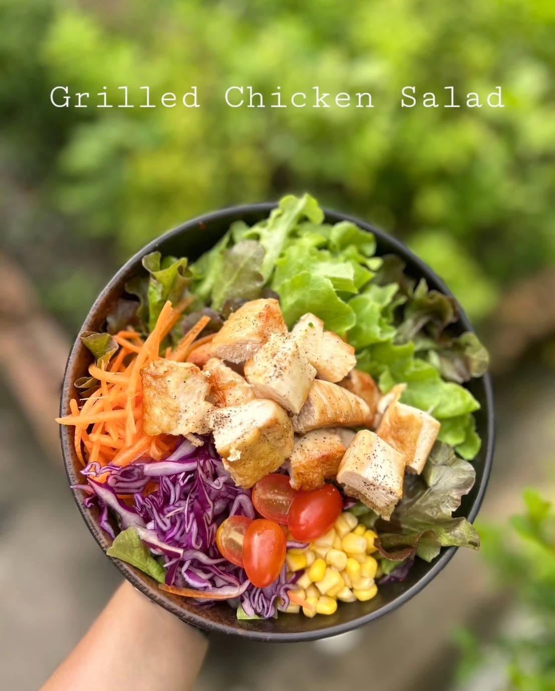 ชบาบาร์น ครัวอีสานวินเทจ อุดรธานี, Boombim Tree House บ้านเล็กในซอยลับ, BEYOND CAFE, ปังป๋านมสด สาขา2 วงเวียนกรมหลวง