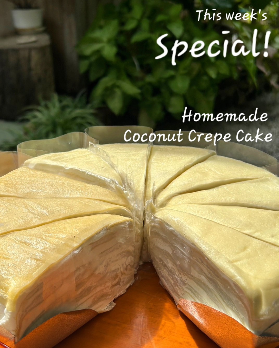 ชบาบาร์น ครัวอีสานวินเทจ อุดรธานี, Boombim Tree House บ้านเล็กในซอยลับ, BEYOND CAFE, ปังป๋านมสด สาขา2 วงเวียนกรมหลวง