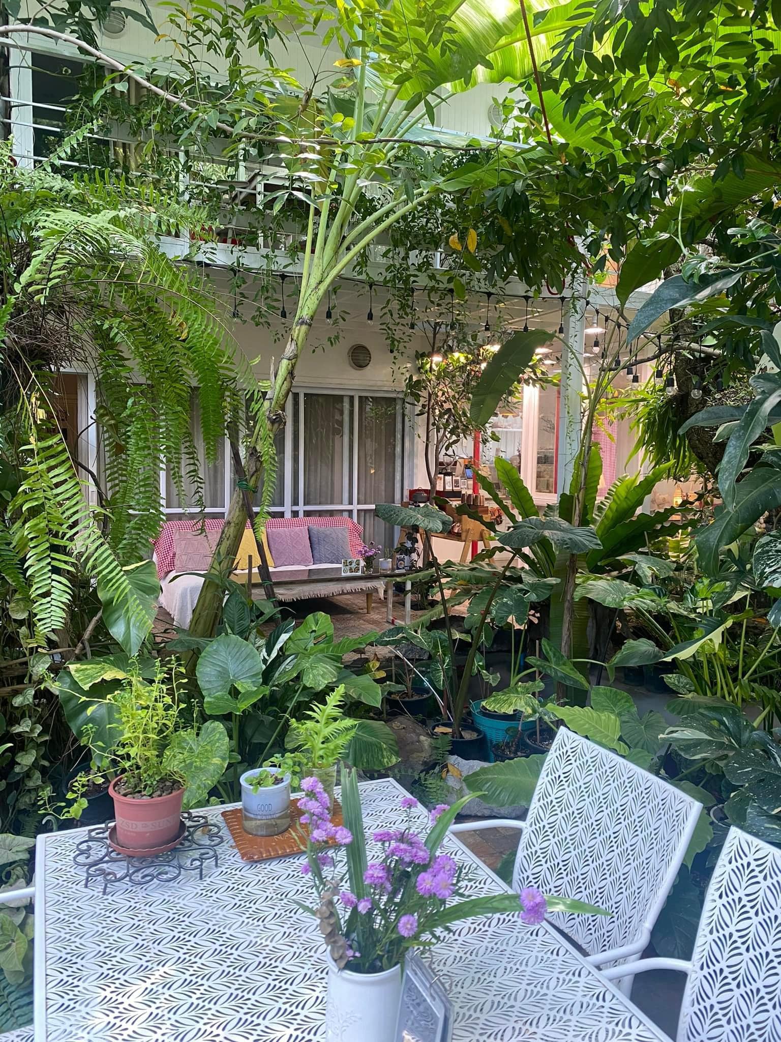 ชบาบาร์น ครัวอีสานวินเทจ อุดรธานี, Boombim Tree House บ้านเล็กในซอยลับ, BEYOND CAFE, ปังป๋านมสด สาขา2 วงเวียนกรมหลวง