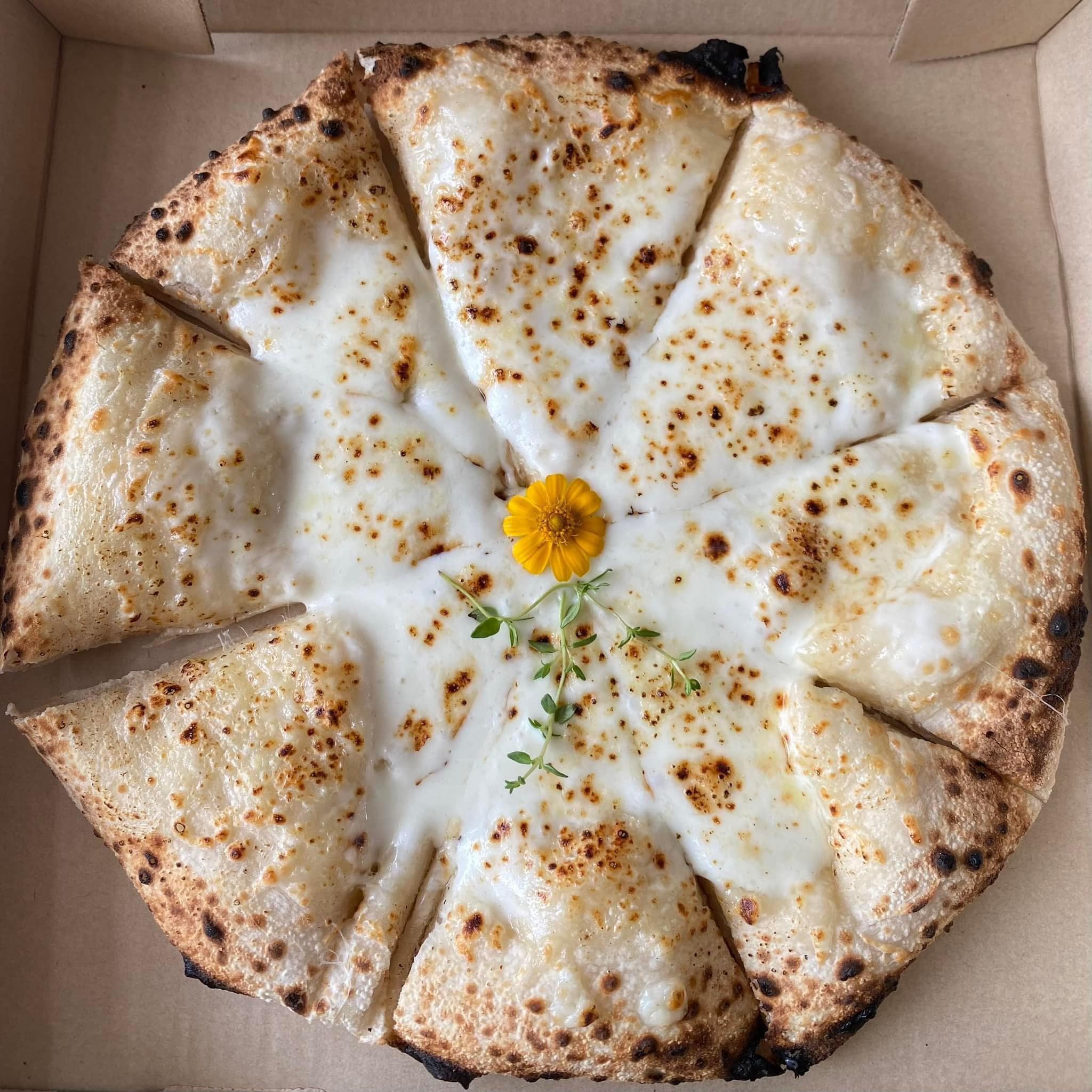 ชบาบาร์น ครัวอีสานวินเทจ อุดรธานี, Boombim Tree House บ้านเล็กในซอยลับ, BEYOND CAFE, ปังป๋านมสด สาขา2 วงเวียนกรมหลวง