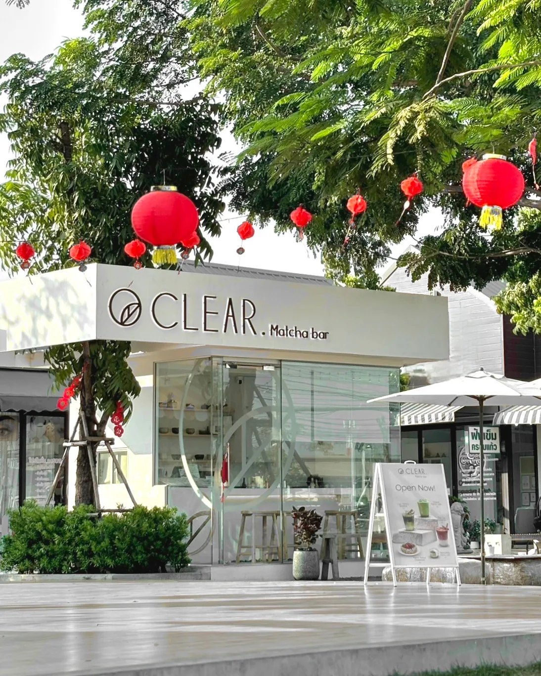 Hidden leaf matcha, Tanuki261.cha, Tealily Cafe, Spring matcha, CLEAR. Matcha, Puritan, ChaEn Matcha, Pablo Cheesetart , Fuku Matcha Thailand