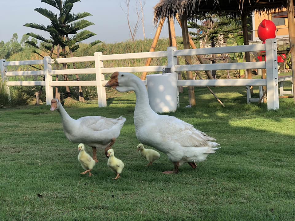 Space bar slow coffee, ree.kyus, PREME Cafe &amp; Playground, Zucata Cafe', รักษ์บางปะอินคาเฟ่, Pino Cafe' บางปะอิน, PASTRY ARCHITECT, น้ำท่า cafe-coffee house, Cafe' de Zia