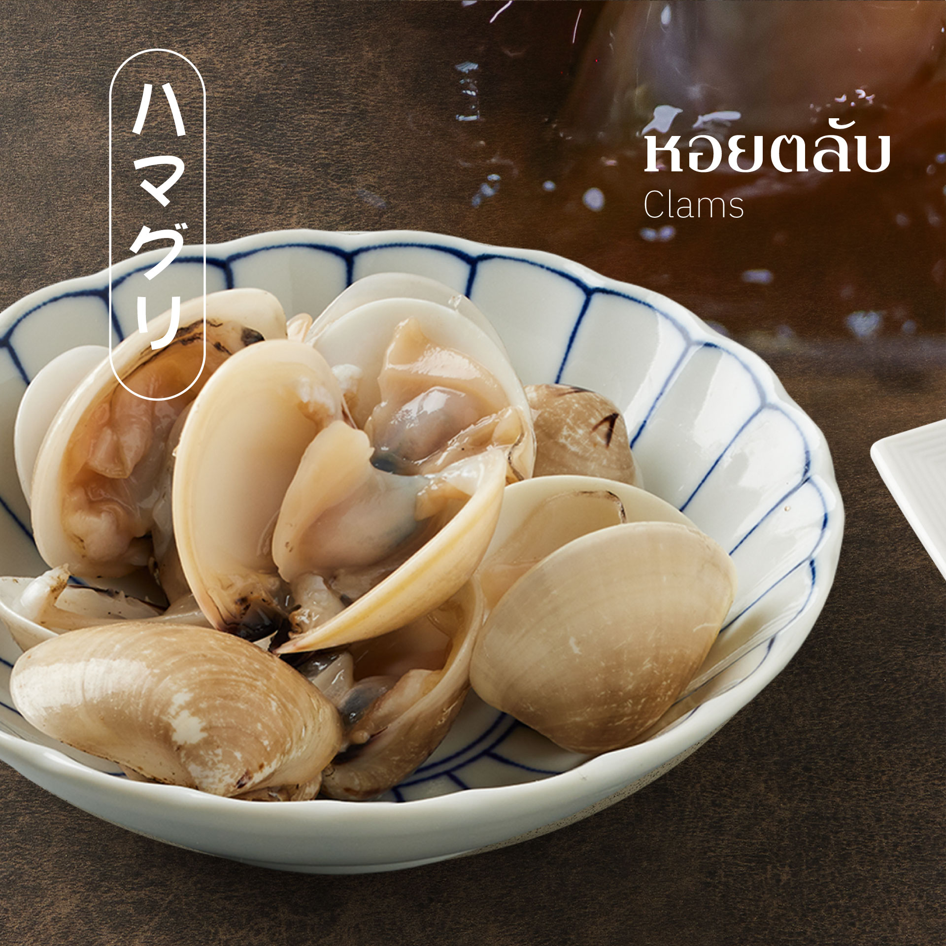 SOOFU SHABU SHABU, SSamthing Together, Shabu One Japanese Restaurant, Shakariki432, สาขา The Nine พระราม 9, MAGURO The Nine พระราม 9