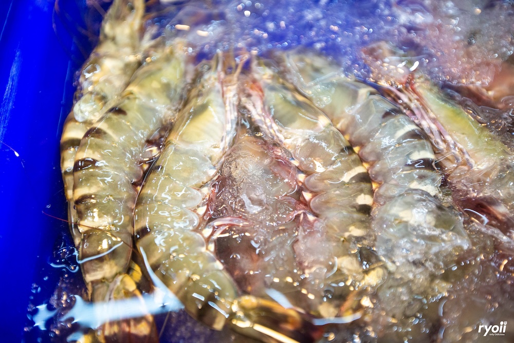 เฮงหอยทอดชาวเล, เอลวิสสุกี้, สมศักดิ์ปูอบ, ขนมไทยคุณจิ๋ม, The Cheese Baron, Plik Pork Grill, พริกกะเกลือ, Salmon Cat, ออเดอร์ ซีฟู้ด, ดาตะวัน ซีฟู้ด