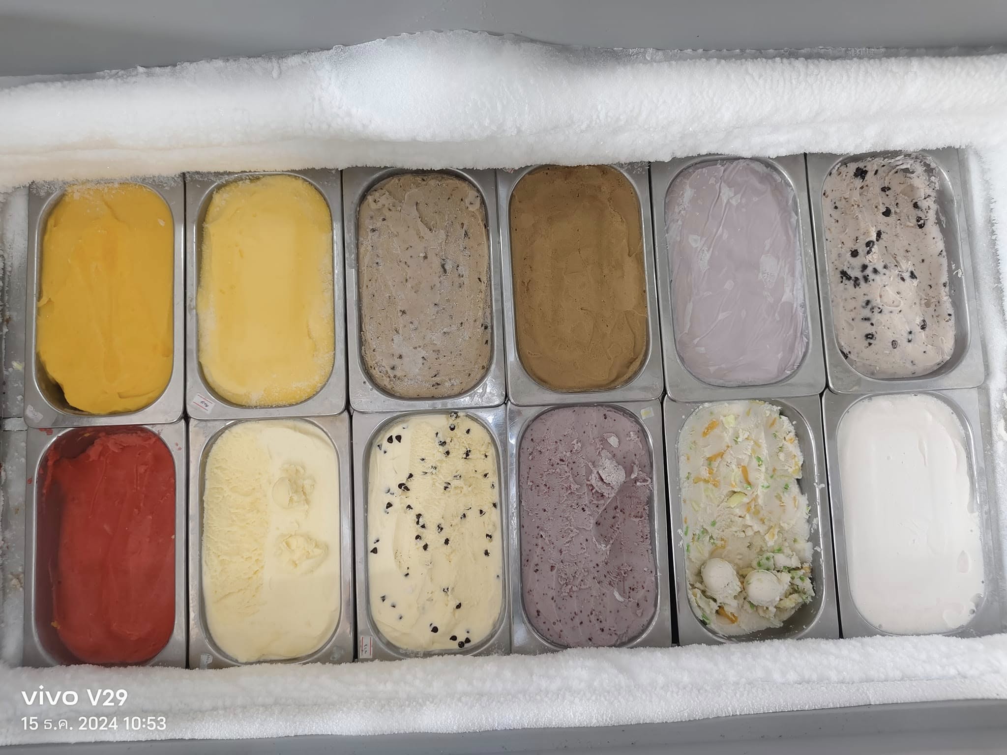 มหาชัยไอศกรีม, พัชชาไอศครีมกะทิ, หวานลิ้นไอติมทรงเครื่อง, M'scream, ฟู่ฟู่ ไอติมกะทิ, ไผ่ทองไอสครีม, ไอศกรีมทิพย์รส