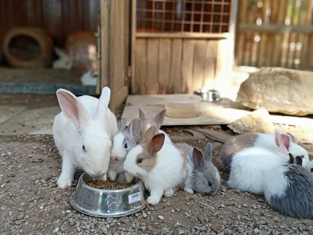 Simple Things, Mindset Cafe, GIVEANDTAKE Cafe House, เถียงนา Coffee and Bakery Farm, TARA Kaffee&amp;Patisserie', Mood Cafe, View doi Coffee Home, One Day One Cafe', สวนพร้าว คาเฟ่, A Little Craft Cafe, Braverly, สวนป่าตากา คาเฟ่, SOON CAFE, Ava Cafe’, Charfinn cafe’, PlumucH, Harmonica 2, River Bar Cafe, Chavee Cafe, TonTong Cafe, สวนเหนือกาแฟ, Diff desofto, สายหวานคาเฟ่, Kyoto Shi Cafe, DRIP GAN, Move on - มูฟออน