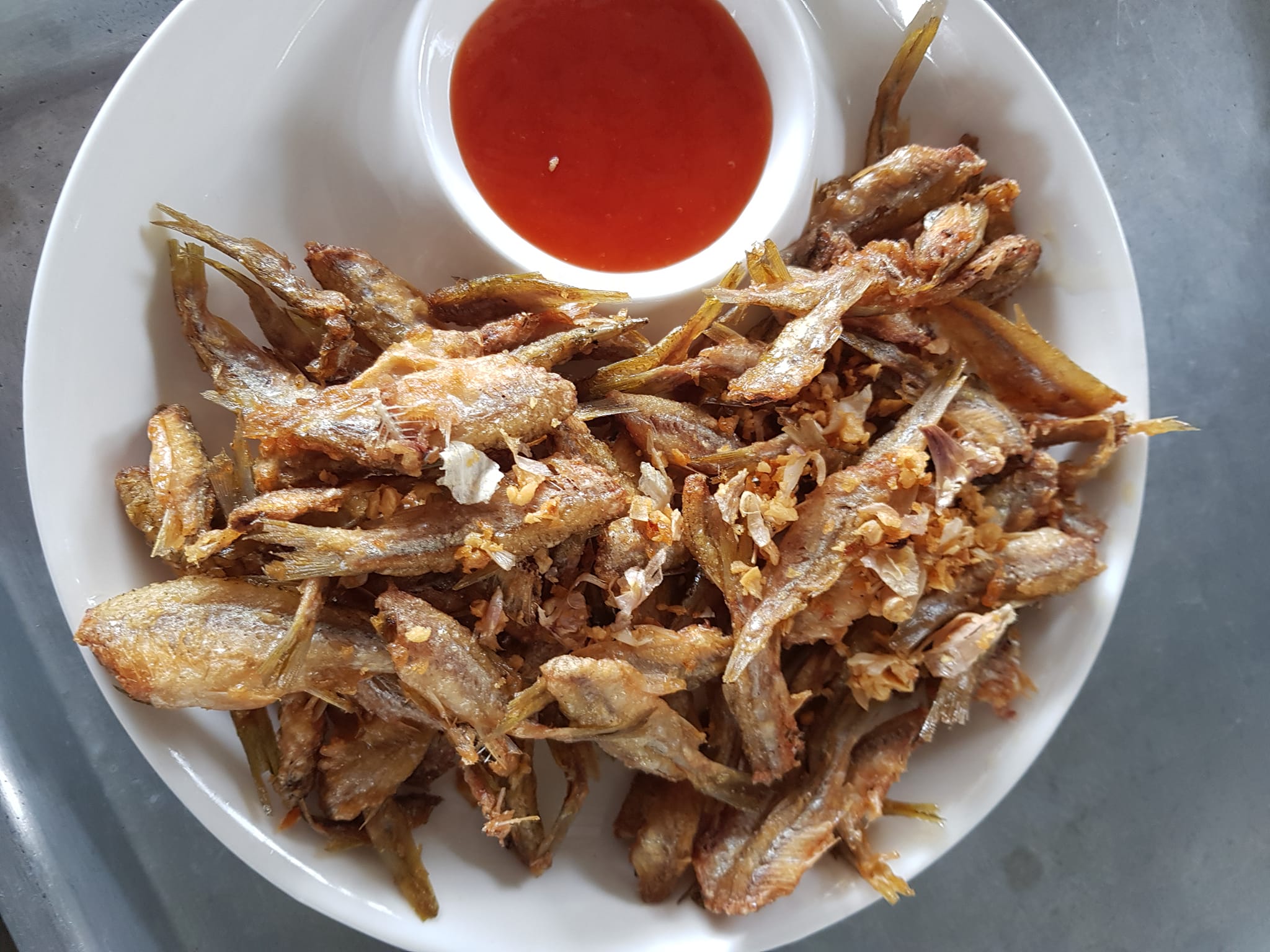 ข้าวเปิ๊ปยายเครื่อง, กับข้าวกับปลา, สินวนา, เฟื่องฟ้า, บ้านครูอิ๋ว, สิบสองหน่วยตัด, ร้านอาหารลุงจ้อย สุโขทัย, ก๋วยเตี๋ยวสุโขทัย ไม้กลางกรุง, Pizza House, Phum Phor ภูมิพ่อ, รักชาติ พาเพลิน ศรีสำโรง, ณ โขทัย, กุ๊กเหมียน, ป้าอ้วนหมูจุ่ม 2