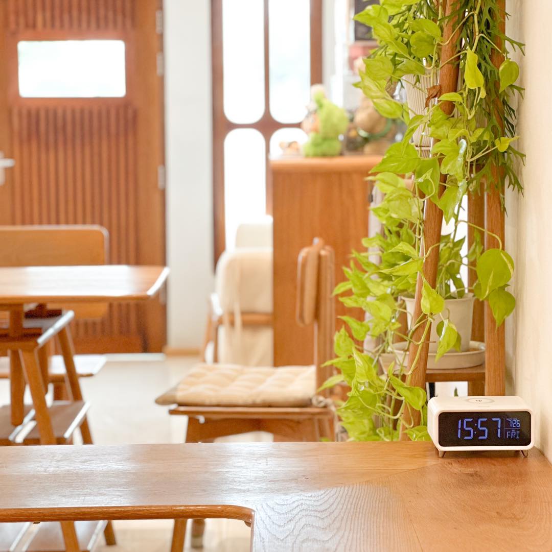 The Sine Cafe’, Whispering cafe, รักษ์น้ำคาเฟ่, Orenchi Cafe, KAWA Coffee and Co., Orenchi Specialty Coffee, Attitude Coffee, Memory House Cafe, In Garden Hut Cafe, ChataThammachart, She's The Legend Cafe, RIVA floating cafe, Good Mood House, นึก คาเฟ่ - วัดไร่ขิง, Ton Khao Terrace, CHADA Tea Boutique, Kark Crof.f