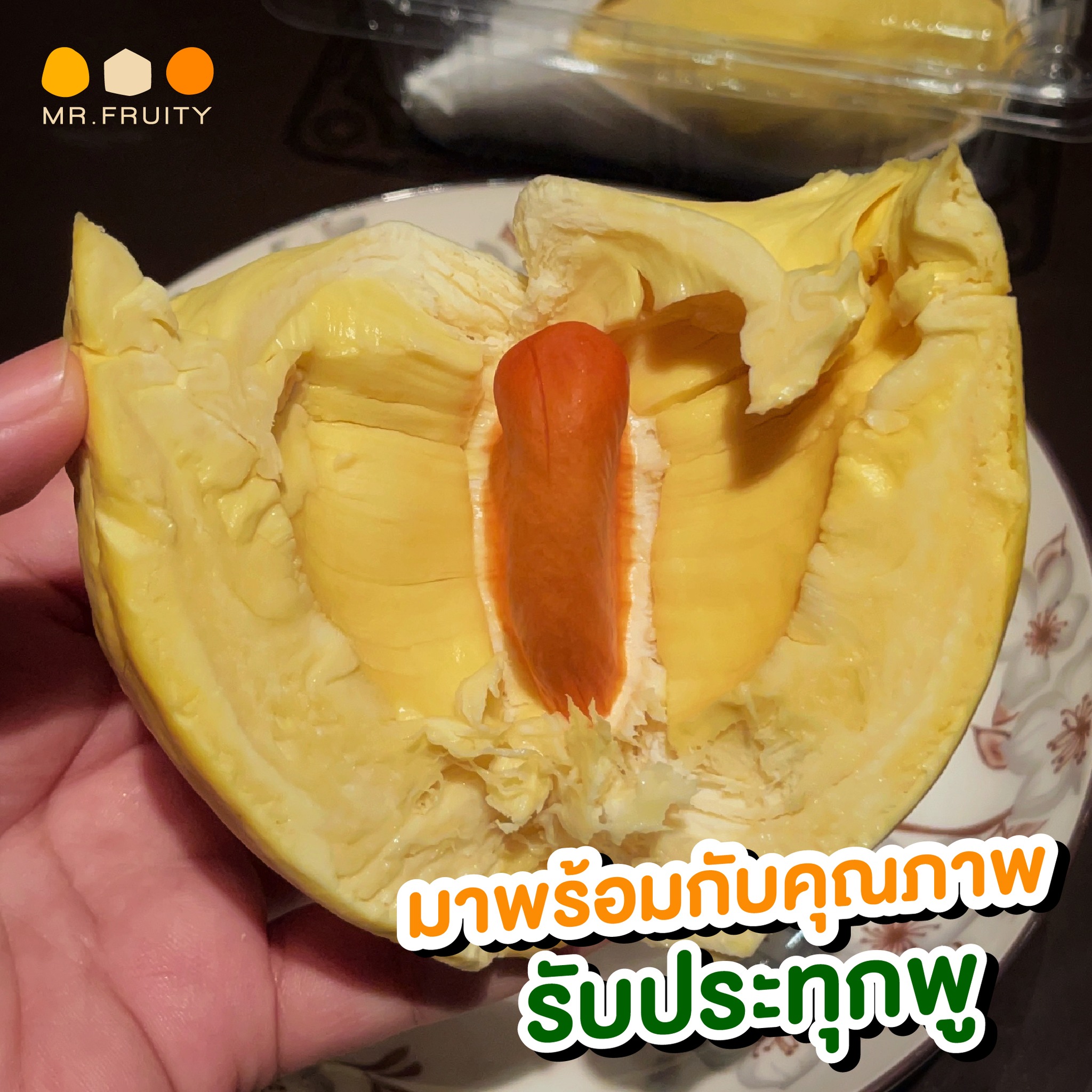 ทุเรียนหมอนทองจันทบุรี, Fresh Mate, ทุเรียนหมอนทองตลอดปี, ทุเรียนเฮียถุง Delivery, ทุเรียนน้องนิด, เจ้แหม่ม ผลไม้ &amp; ทุเรียน, aDay Fresh, Mr.Fruity ทุเรียนสด Delivery, ทุเรียนเจ๊ฟีม ตลาดสี่มุมเมือง, Siam Golden Fruit, ทุเรียน Delivery ส่งด่วนใน1ชั่วโมง