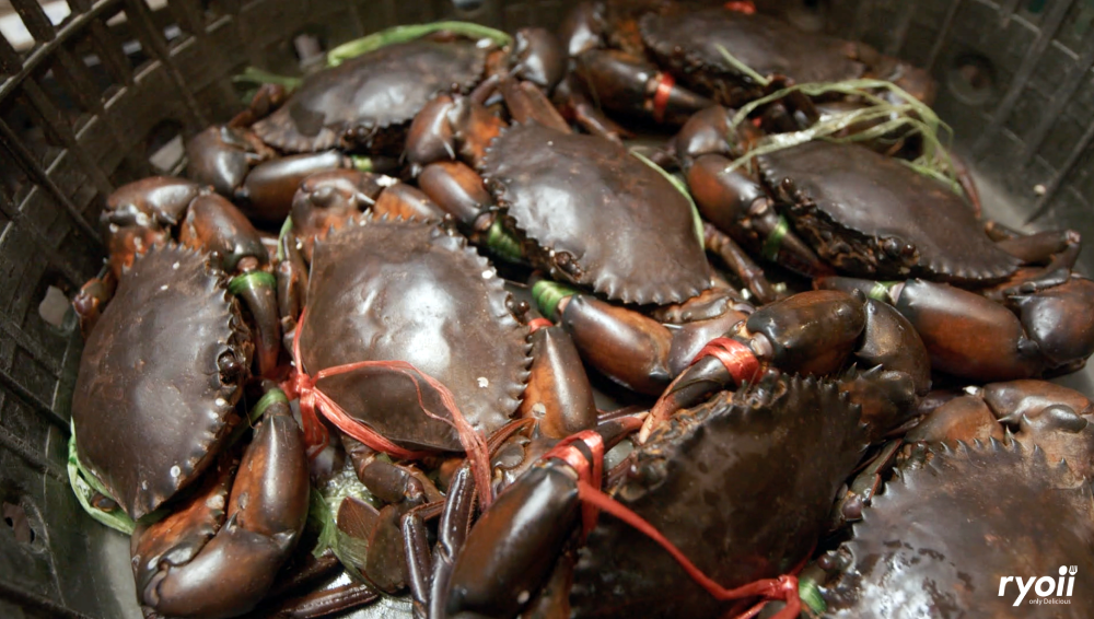 Sookdal Bangkok, ลูกชิ้นปลาบรรทัดทอง, โจ๊กสามย่าน, สาขาบรรทัดทอง, ตั้งซุ่ยเฮงโภชนา, ส้มส้ม ซีฟู้ด, Lust Ramen Thailand, สาขา Stadium One, เจ๊เกียง, TOOKPAK ถูกปาก, มนต์ นมสด | Mont Nomsod, แหลกไม่แหลก, หมูสะเต๊ะ ซีอิ๊วดำ มิ้งโภชนา, ยำเจ้ศรี, อั่งเป่าหม่าล่าชาบู