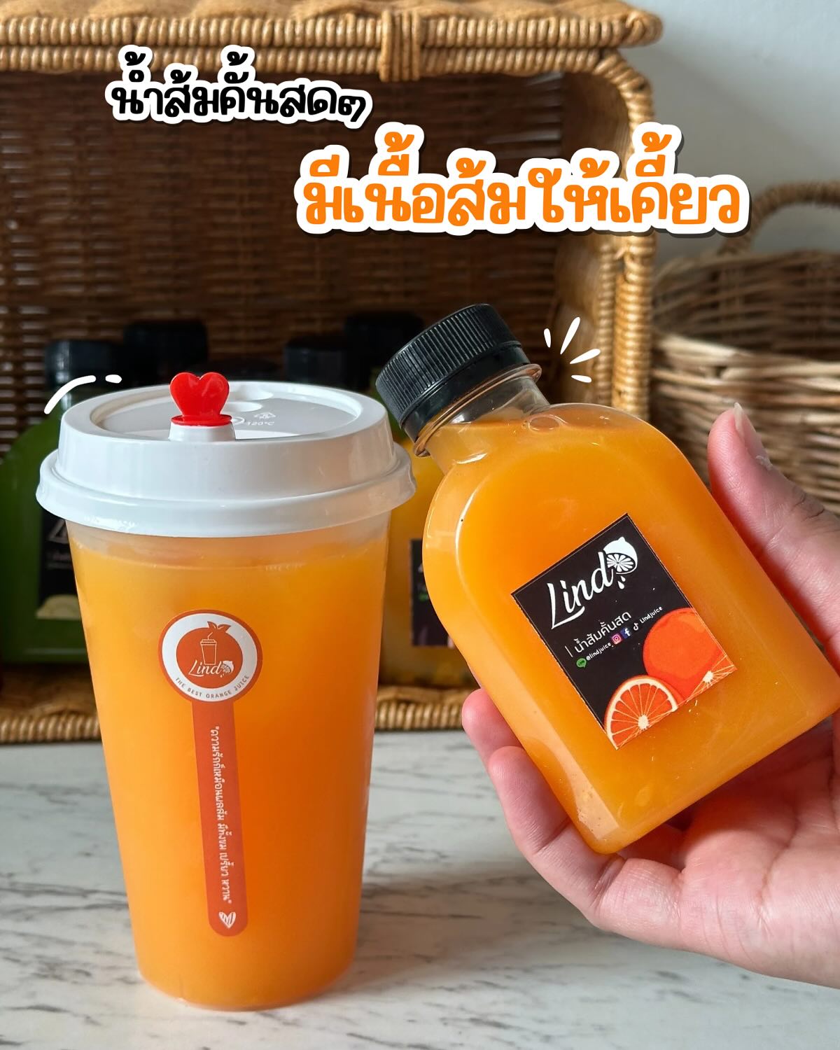 หมึกย่างแดนมังกรเยาวราช, คุณโต๊สปูนา สกุลดี ซ.5 หนองจอก กทม., ธนาชาใต้ เลียบด่วนแดนเนรมิต, กินหมึก หนวดหมึกทอด, ล้านไขมันดี อโวคาโด, ร้านตำแซ่บผัวเผลอ, ร้านตำแซ่บผัวเผลอ เปิดบริการทุกวัน เวลา 16.00-00.00 น. สอบถามเพิ่มเติม โทร. 098 563 6018, lind_juice