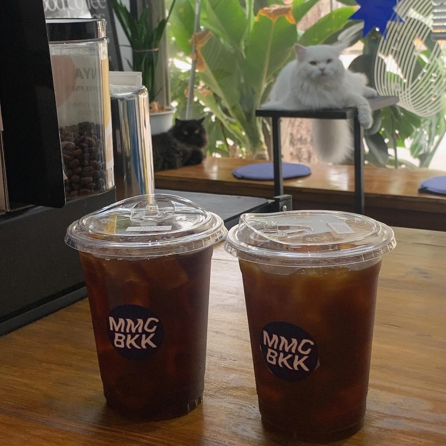 NANA Coffee Roasters, Mmc.bkk, FO SHO BRO, Dear December Cafe, The 66 Cottage, The Black Forest, Bougain Cafe &amp; Crafts, La Mesa Coffee Co., Coffee Station, Gooseberry Coffee Bearing-Lasalle, OOOz.cafe , Shalala Cafe