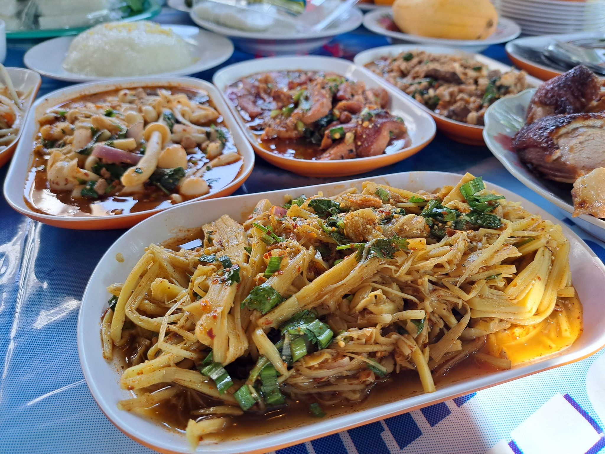 Rhapsody, บ้านส้มตำเมลดา พระนั่งเกล้า, โรงน้ำชา 90', Totoya, จุ่มจุ่ม อีสาน-ชาบู บุฟเฟ่ต์