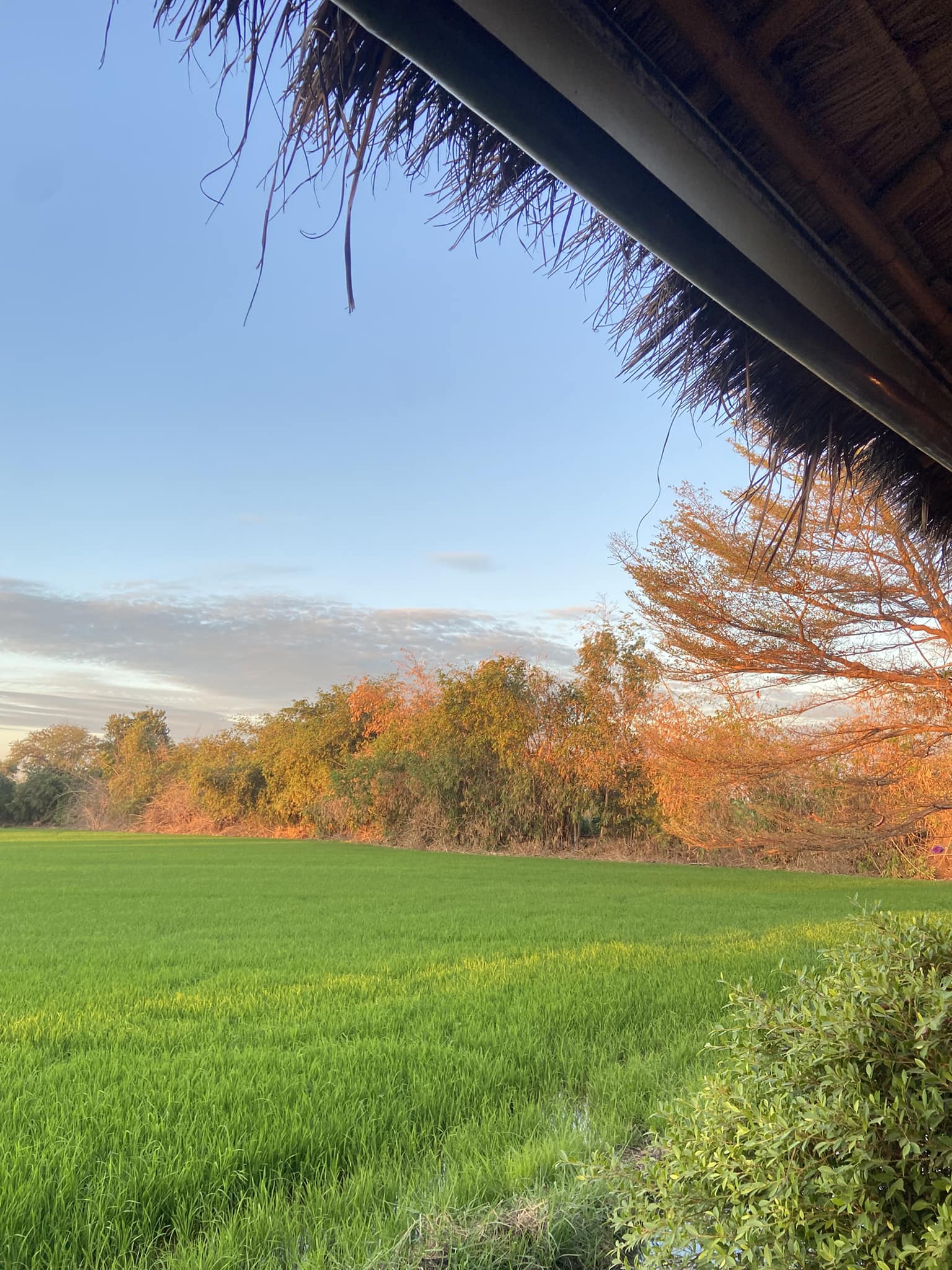 ก๋วยเตี๋ยวเรือในคลอง อยุธยา, กรุงเก่า"เตี๋ยวเรือ", ร้านก๋วยเตี๋ยวเรือโอ่งบนแพริมแม่น้ำน้อย, ก๋วยเตี๋ยวเรือกิมหลวน อยุธยา, ก๋วยเตี๋ยวเรือ ตาลเดี่ยว'เตี๋ยวเรือ, ก๋วยเตี๊ยวลุงแจ๊ะ (บัวหวาน), ร้านก๋วยเตี๋ยวตาไห (คลองท่อ), ก๋วยเตี๋ยวเรือแม่วันดี อยุธยา