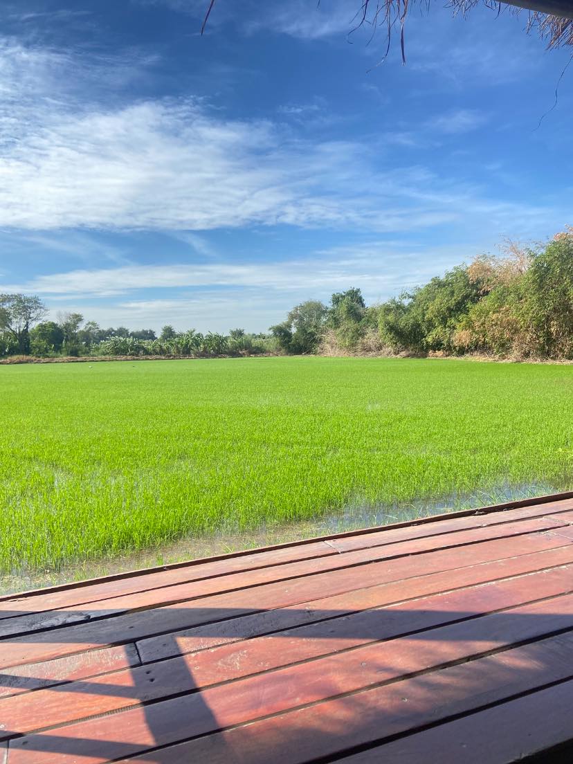 ก๋วยเตี๋ยวเรือในคลอง อยุธยา, กรุงเก่า"เตี๋ยวเรือ", ร้านก๋วยเตี๋ยวเรือโอ่งบนแพริมแม่น้ำน้อย, ก๋วยเตี๋ยวเรือกิมหลวน อยุธยา, ก๋วยเตี๋ยวเรือ ตาลเดี่ยว'เตี๋ยวเรือ, ก๋วยเตี๊ยวลุงแจ๊ะ (บัวหวาน), ร้านก๋วยเตี๋ยวตาไห (คลองท่อ), ก๋วยเตี๋ยวเรือแม่วันดี อยุธยา