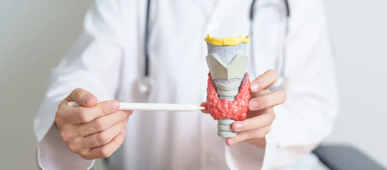 ต่อมไทรอยด์ คืออะไร, ความเครียด ต้นเหตุไทรอยด์ผิดปกติ, โรคไทรอยด์ รักษาได้ไหม ป้องกันอย่างไร, อาหารต้องห้ามของผู้ป่วยไทรอยด์คืออะไร, อาหารที่ผู้ป่วยโรคไทรอยด์ควรกิน