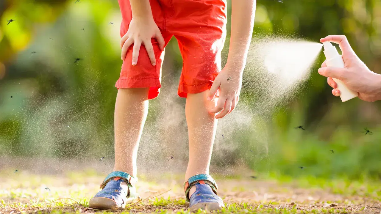 รู้จักสาเหตุ "ไข้เลือดออก" เกิดจากอะไร?, ไข้เลือดออก มีระยะฟักตัวกี่วัน?, ไข้เลือดออก เป็นโรคติดต่อไหม?, สรุป "ไข้เลือดออก" มีอาการอย่างไรบ้าง?, วิธีรักษาอาการไข้เลือดออก กี่วันหาย?, ไข้เลือดออกในเด็ก อันตรายไหม?, เปิดความหมาย "ไข้เลือดออกมือสอง" คืออะไร?, วิธีป้องกันโรคไข้เลือดออก ที่ทำได้เองง่ายๆ ที่บ้าน, ปัจจุบันมีวัคซีนป้องกันไข้เลือดออกหรือยัง?