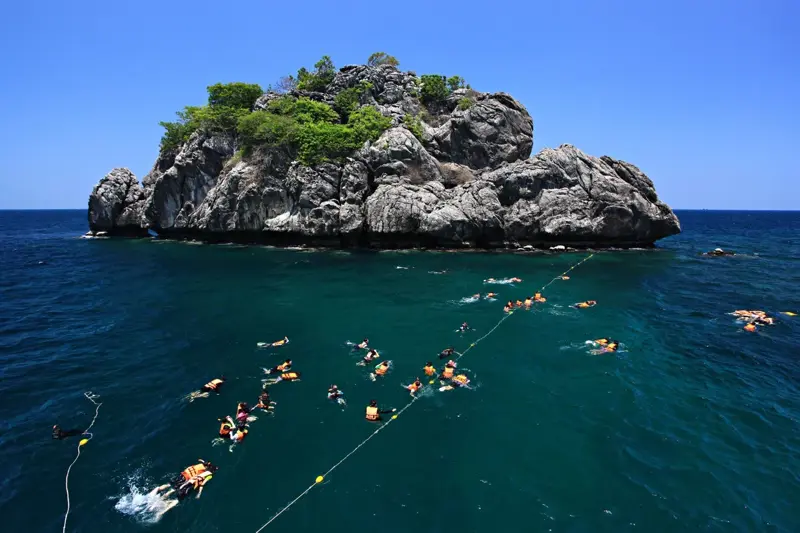 จังหวัดน่าน, จังหวัดชุมพร, จังหวัดสุพรรณบุรี, จังหวัดจันทบุรี , จังหวัดเลย