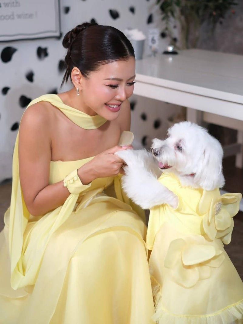 เก๋-ชลลดา เมฆราตรี, อั้ม-พัชราภา ไชยเชื้อ, จั๊กจั่น-อคัมย์สิริ สุวรรณศุข, เชียร์-ฑิฆัมพร ฤทธิ์ธาอภินันท์, โย-ยศวดี หัสดีวิจิตร, น้ำผึ้ง-ณัฐริกา ธรรมปรีดานันท์, อ้อยใจ แดนอีสาน, ณเดชน์ คูกิมิยะ, โย่ง อาร์มแชร์, เซเลนา โกเมซ, อาริอานา กรานเด, คริส อีแวนส์, เอ็ด ชีแรน, ไรอัน เรย์โนลด์ส, มิลลี บ็อบบี บราวน์