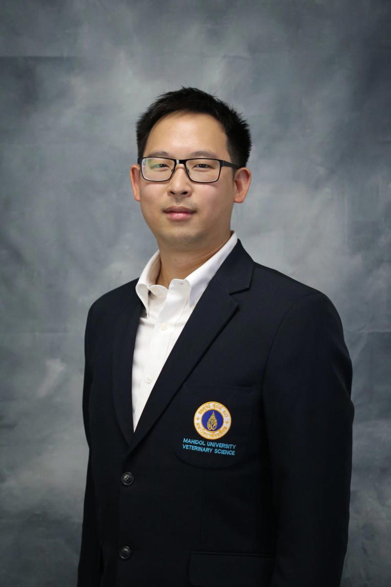 เช็กง่ายๆ ว่าสุนัขชอบให้กอดไหม, ภาษารักที่แท้จริงคือการให้อิสระและทางเลือก, วิธีให้ทางเลือกกับสุนัขในชีวิตประจำวัน, 1. ใช้ภาษากายที่นุ่มนวล, 2. การลูบบริเวณที่ชอบ, 3. มีส่วนร่วมกับกิจกรรมที่พวกเขาชอบ, 4. พูดคุยด้วยน้ำเสียงที่อบอุ่น