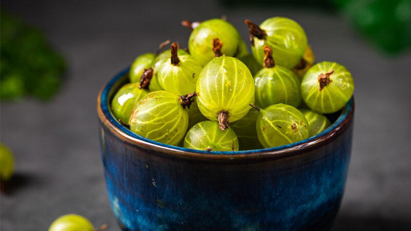 1.สมุนไพรหญ้าดอกขาว, 3.กานพลู, 4.มะขามป้อม, 5.โปร่งฟ้า, 6.รางจืด