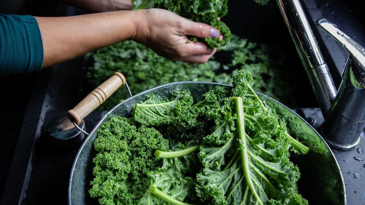 รู้จัก "ผักเคล" ราชินีผักใบเขียว, ประโยชน์ของผักเคลมีอะไรบ้าง, โทษที่ควรระวังของผักเคล, ไขข้อสงสัย ผักเคลกินยังไง กินสดได้ไหม, แจกไอเดียเมนูผักเคลทำอะไรกินได้บ้าง, แจกวิธีง่ายๆ ผักเคลปลูกยังไง, ผักเคลซื้อที่ไหน ราคาเท่าไร