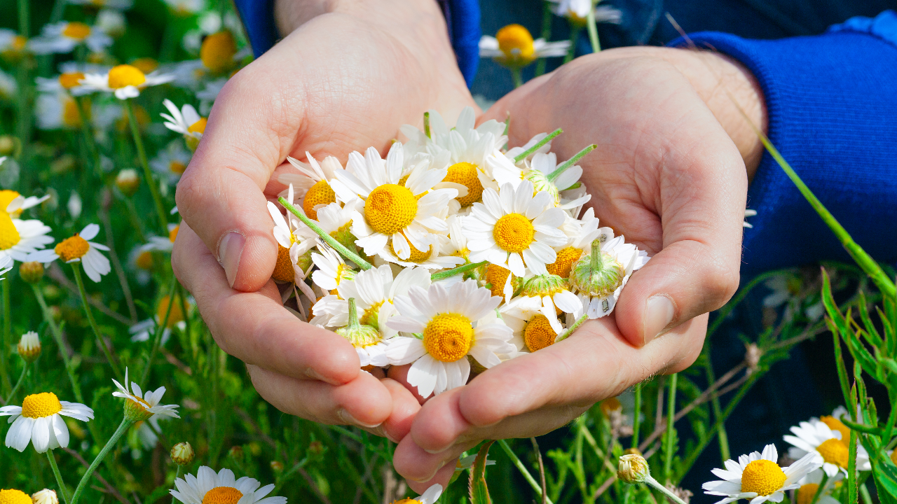 แคปชั่นภาษาอังกฤษ รักตัวเอง อ่านแล้วให้พลังบวก, แคปชั่นภาษาอังกฤษ ฮาๆ กวนๆ สไตล์คนอารมณ์ดี, แคปชั่นภาษาอังกฤษเท่ๆ สั้นๆ แต่โดนใจทุกคน, แคปชั่นภาษาอังกฤษน่ารัก อ่านแล้วอมยิ้ม, แคปชั่นภาษาอังกฤษทะเล พักผ่อนสุดชิล, แคปชั่นภาษาอังกฤษเศร้าๆ ปลอบใจคนเฮิร์ต